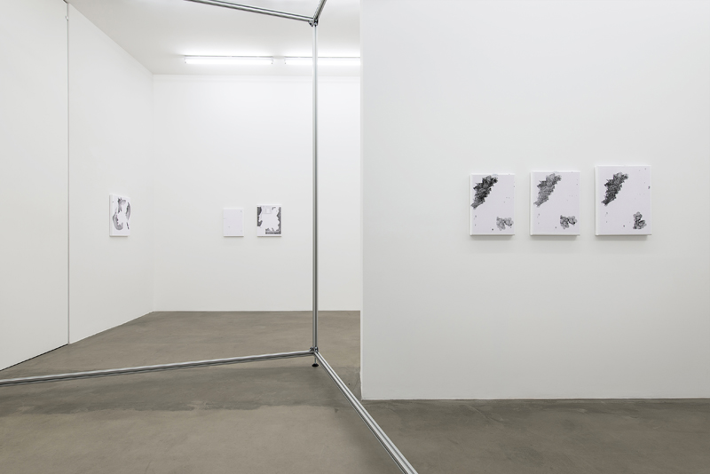 Jacob Dahl Jürgensen Installation view